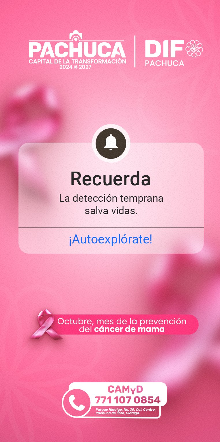 Derecha turismo bal