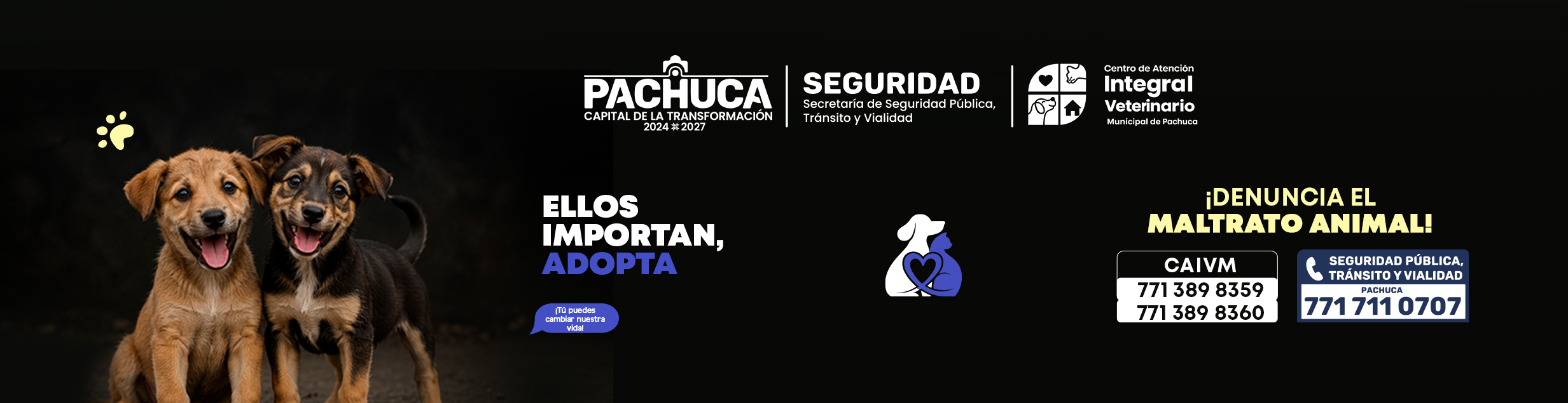 Banner superior