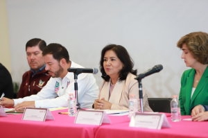 &nbsp;Sistemas DIF en Hidalgo, m&aacute;s humanos, sensibles y&nbsp;cercanos a la gente: Edda Vite