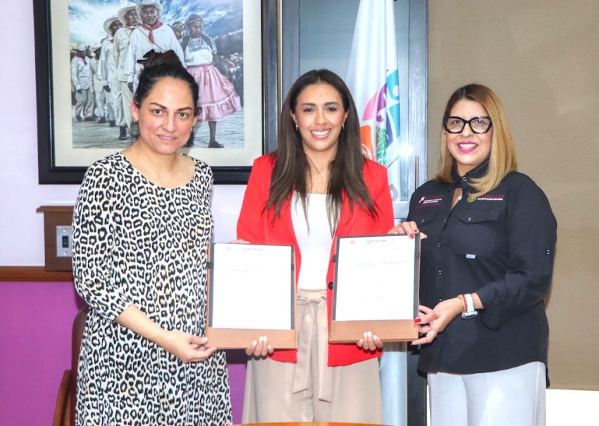 CONOCER, CDHEH y CIDFORT integran Comité de Gestión para Estándares de Competencias en derechos humanos