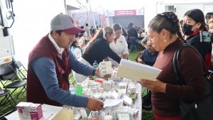 Brigadas de Salud realizan m&aacute;s de 36 mil acciones