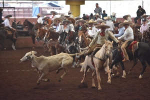 Todo listo para celebrar mes de las personas adultas mayores