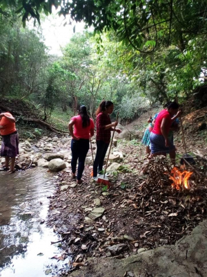 EN ÉPOCA DE LLUVIAS PIDE SSH REFORZAR MEDIDAS DE PREVENCIÓN Y CONTROL PARA EVITAR ENFERMEDADES TRANSMITIDAS POR VECTOR COMO EL DENGUE