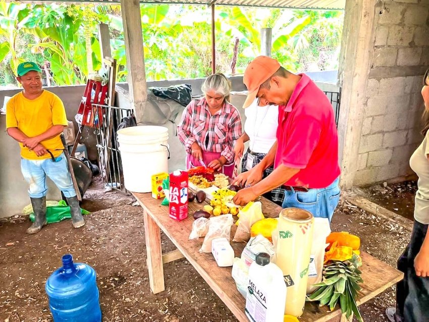 Estudiantes de la UPH llevan capacitación agroindustrial a comunidades de la Huasteca