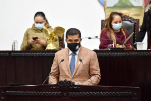 INCORPORAR EN LA ELECCI&Oacute;N DE GOBERNADOR CONSTITUCIONAL DEL ESTADO EL PRINCIPIO DE PARIDAD DE G&Eacute;NERO: GLPRI  &nbsp;