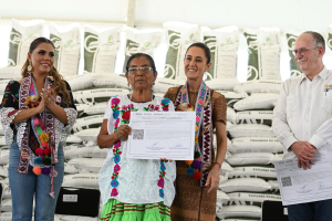 El programa de fertilizantes gratuitos ya es un derecho constitucional para campesinos: Claudia Sheinbaum
