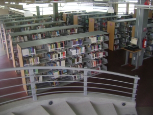 Biblioteca Central Ricardo Garibay tendr&aacute; una jornada dedicada al libro