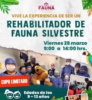 Niñas y niños rehabilitadores de fauna silvestre
