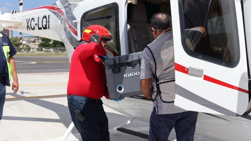 Hidalgo concreta traslado aéreo de un corazón