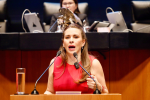 Es una farsa tr&aacute;gica para M&eacute;xico la elecci&oacute;n de jueces y magistrados: Carolina Viggiano&nbsp;