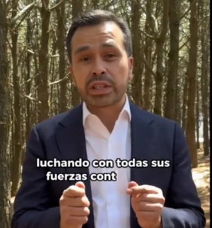 &Aacute;lvarez M&aacute;ynez destaca importancia de energ&iacute;as renovables