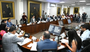 Diputados impulsan reforma para proteger a ni&ntilde;as, ni&ntilde;os y adolescentes en servicios de hospedaje