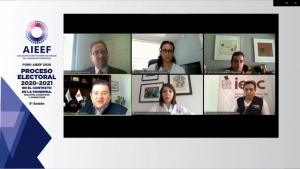 Preside Consejera Presidenta del IEEH Foro de la AIEEF sobre Candidaturas Independientes &nbsp;