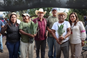 Promueve Saderh producci&oacute;n&nbsp;de maguey pulquero en Hidalgo&nbsp;