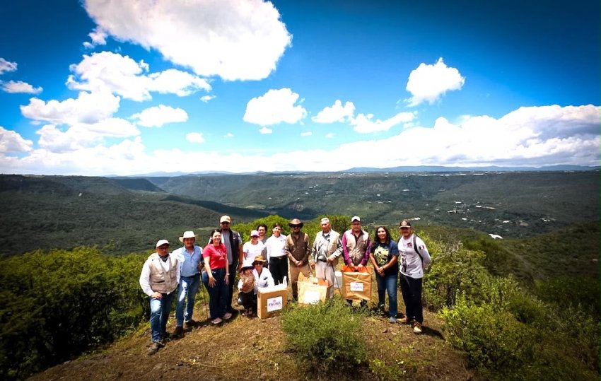 Pachuca suma 105 ejemplares de fauna silvestre rehabilitados y reintegrados a su hábitat en 2026
