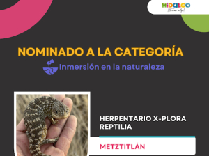 Abiertas las votaciones para elegir a favoritos  de Galardones a la Innovación Turística 2024