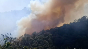 Controlado el incendio en el municipio de Tlahuiltepa