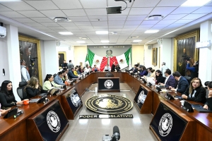 Diputados avalan incorporar el principio de progresividad en la Ley de Derechos de Personas Adultas Mayores  &nbsp;