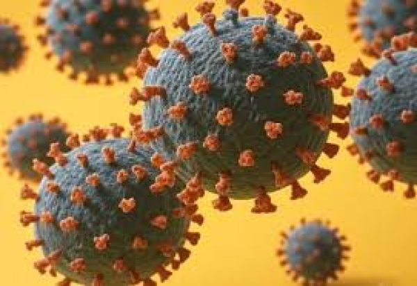 OMS emite una alerta por la aparición de una nueva variante del virus SARS-CoV-2, conocida como Stratus.