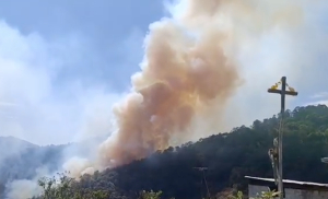 Gobierno de Hidalgo atiende incendio en Tlahuiltepa y garantiza coordinaci&oacute;n para sofocarlo