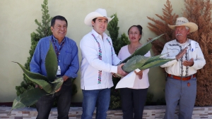 Titular de la Saderh entregó hijuelos de maguey a productores de Zempoala