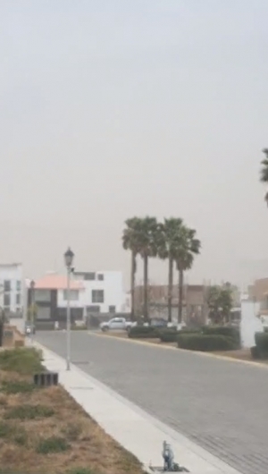 Los remolinos o tolvaneras pueden provocar afecciones, entre otros padecimientos