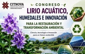 Analizar&aacute;n retos del lirio acu&aacute;tico y los humedales