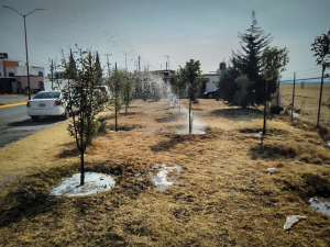 Rescata y preserva Semarnath,&nbsp;&aacute;reas verdes en Pachuca y Mineral de la Reforma