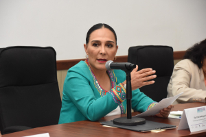 Por primera vez se realiza el congreso juvenil: Erika Rodr&iacute;guez.