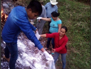 Medidas de control integral de vectores