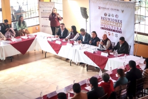 &nbsp;Comienzan reuniones regionales para fortalecer la gesti&oacute;n cultural en Hidalgo