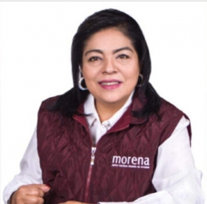 Diputada local de morena libra proceso por el delito de robo