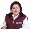 Diputada local de morena libra proceso por el delito de robo
