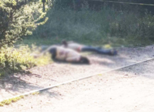 Localizan otros dos ejecutados en Tula