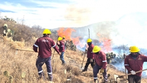 M&aacute;s del 60 % de los incendios en la entidad son provocados por personas