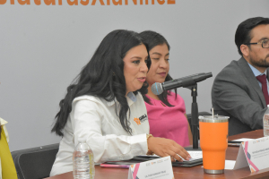 Buscan institucionalizar la perspectiva de niñez en el congreso de Hidalgo: Karla Perales