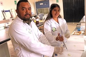 ITESHU transforma residuos de maguey en una alternativa al mixiote natural