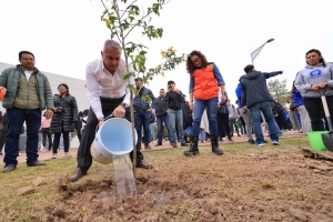 Alcald&iacute;a de Pachuca y Tecnol&oacute;gico de Monterrey reforestan con 200 &aacute;rboles