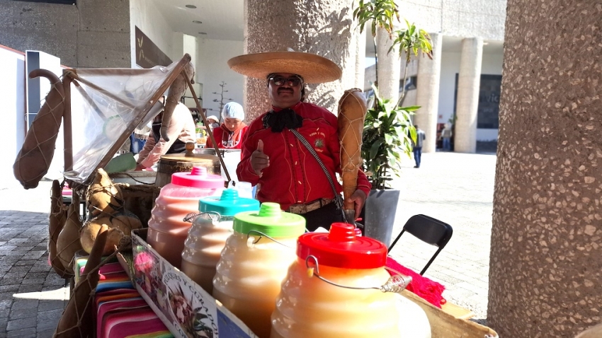 Conmemora Hidalgo Día Estatal del Maguey