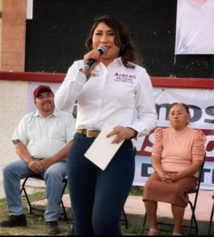 Impugna Partido Verde postulaci&oacute;n de Araceli Beltr&aacute;n a diputaci&oacute;n federal de Ixmiquilpan