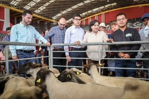 Entrega Edda Vite Proyectos Productivos para Hidalguenses con Discapacidad Permanente&nbsp;