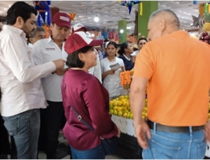 Tatiana &Aacute;ngeles para defender la cuarta transformaci&oacute;n a nivel federal