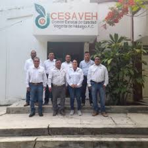 &ldquo;Comit&eacute; Estatal de Sanidad Vegetal de Hidalgo abre convocatorias&rdquo;