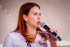 El 5 de junio será la verdadera encuesta: Carolina Viggiano