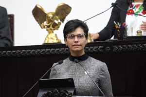 Población indígena con discapacidad, sin protección en derechos lingüísticos: Rocío Sosa.
