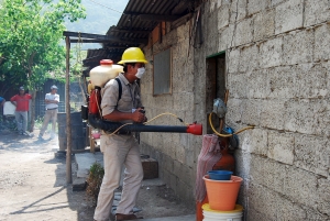 Actualizaci&oacute;n del Panorama Epidemiol&oacute;gico Estatal de Dengue