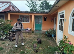 La Secretar&iacute;a de Salud fortalece acciones de prevenci&oacute;n en toda la entidad para la disminuci&oacute;n y control del dengue