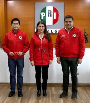 Más cambios al interior del partido tricolor