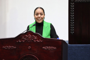 TRANSPARENTE, PROCESO PARA DESIGNAR OMBUDSPERSON: MICHELLE CALDER&Oacute;N