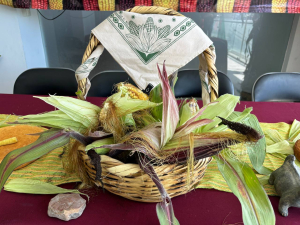  Festival del Maíz en Singuilucan   